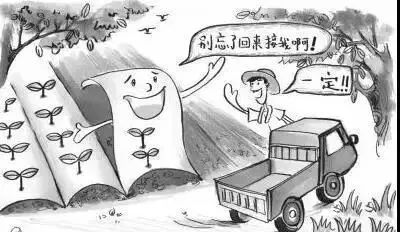 农膜回收正当时 抓住补贴窗口，变身绿色乡村获利者